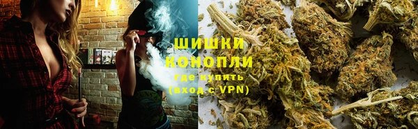 сатива Армянск
