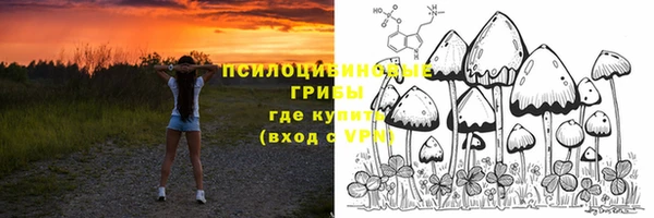 сатива Армянск