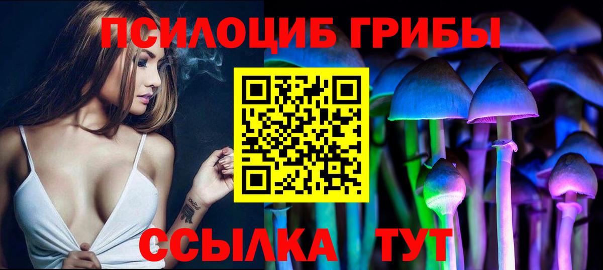 купить  цена  Верхняя Салда  Псилоцибиновые грибы ЛСД 